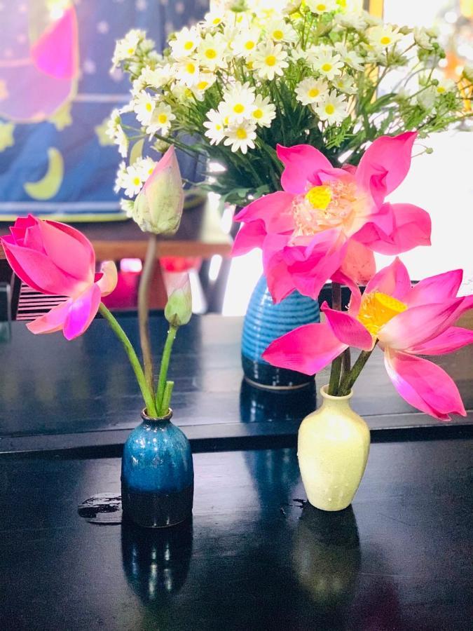 Coco Viet Homestay Hoi An Dış mekan fotoğraf